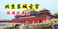 教师大乱交中国北京-东城古宫旅游风景区